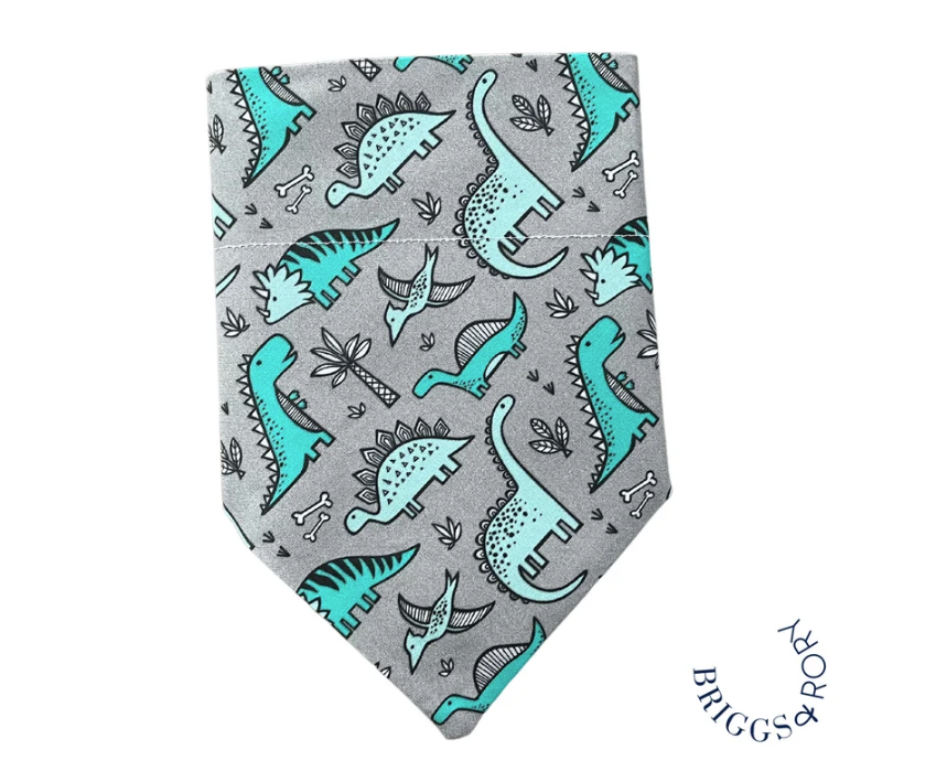 Dinosaur hot sale dog bandana