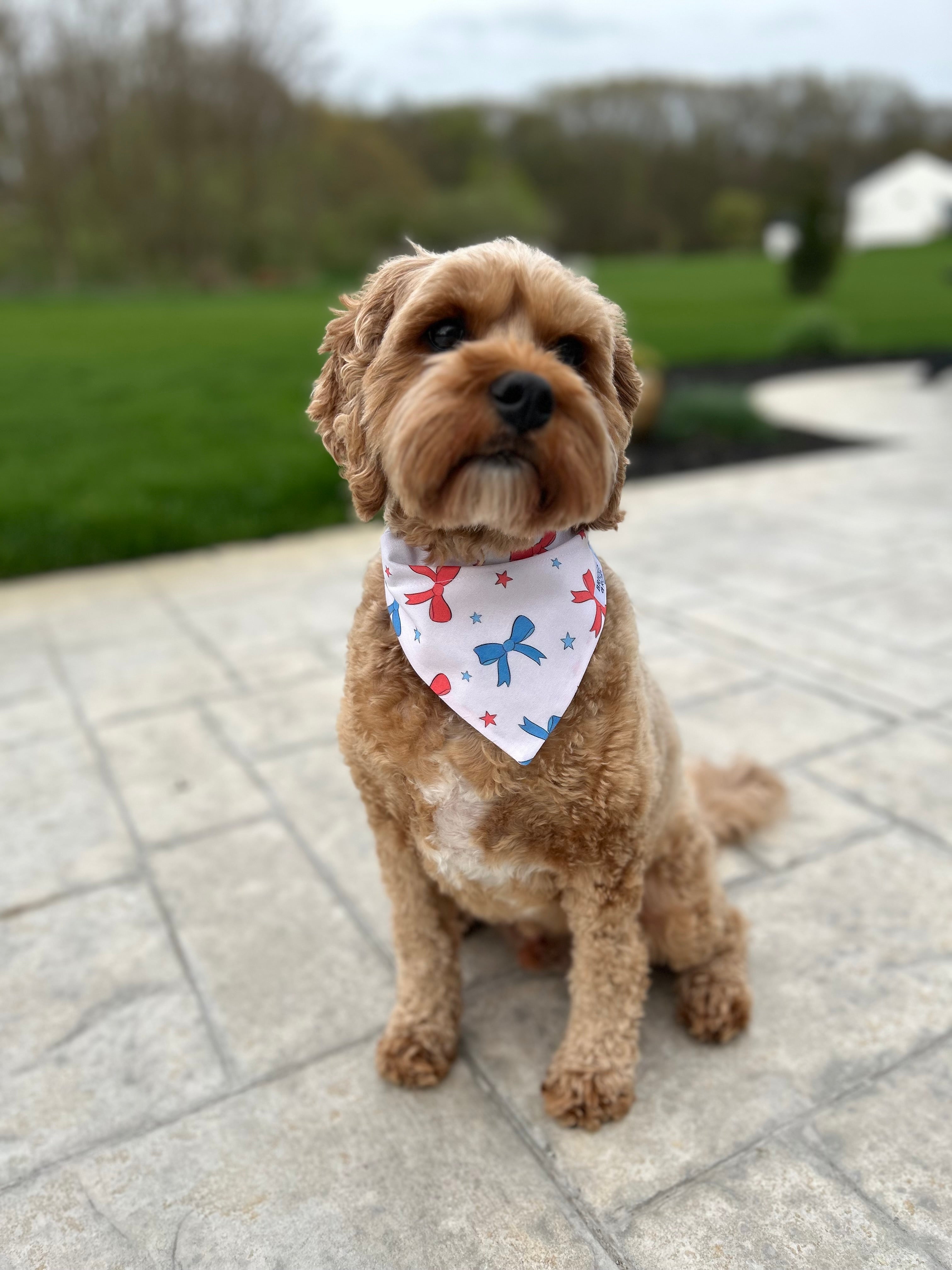 Fourth of july dog bandana best sale