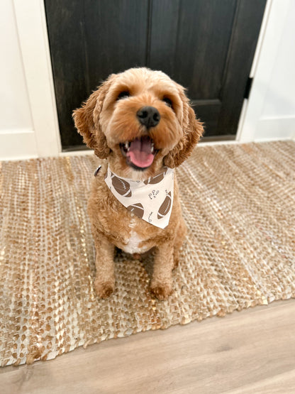 Football Dog Bandana Briggs and Rory