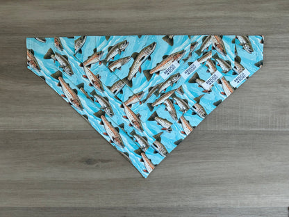 Fish Dog Bandana