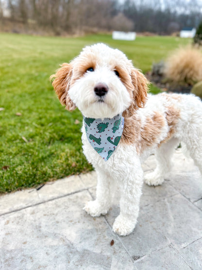 Cavapoo Valentine’s Day Dog Bandana