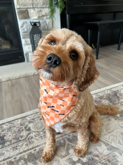 Bat Dog Bandana