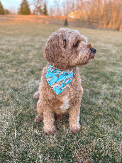 Fish Dog Bandana