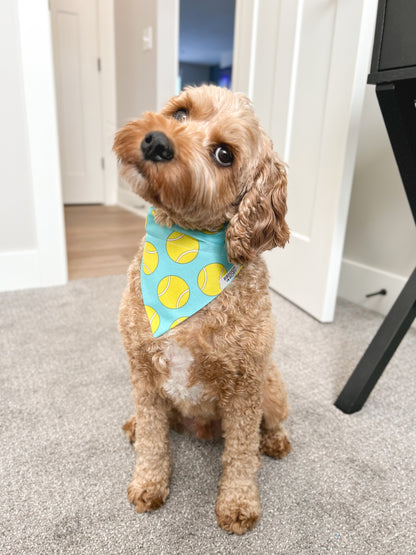 Cavapoo wearing small Tennis Ball Dog Bandana