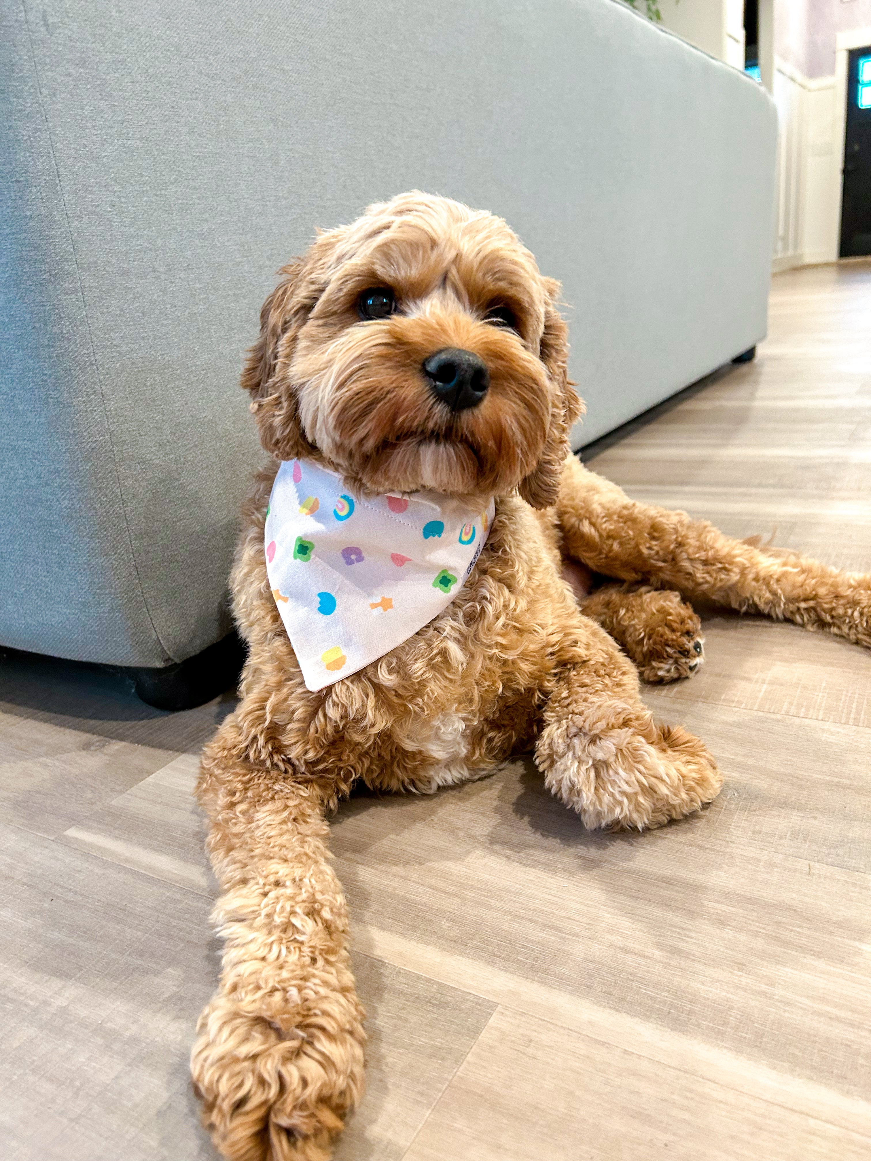 Dog sales charms bandanas