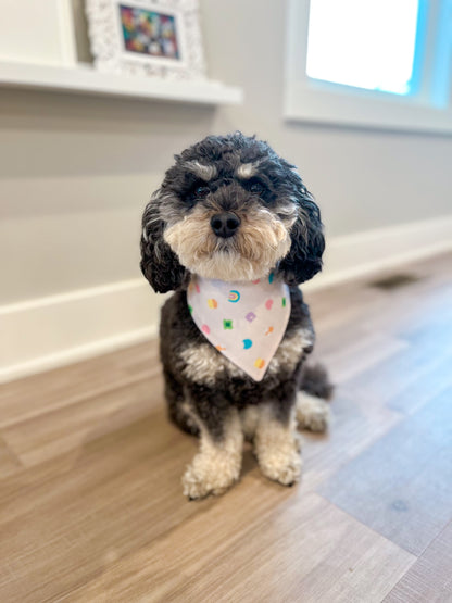 Cavapoo St. Patrick’s Day Dog Bandana