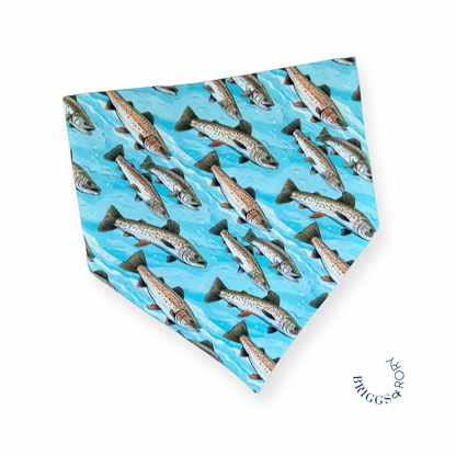 Fish Dog Bandana