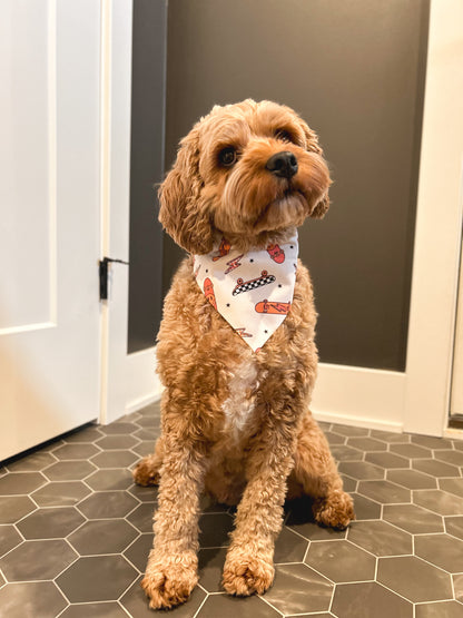 Cavapoo wearing a small Skateboard dog bandana