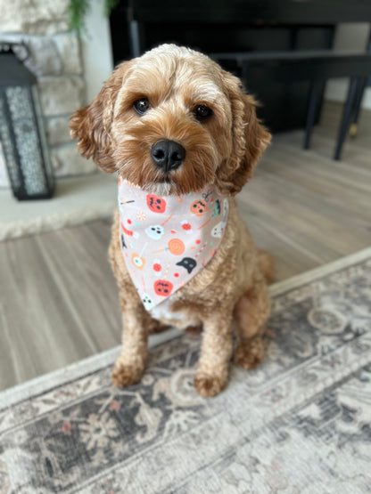 Halloween Candy Dog Bandana