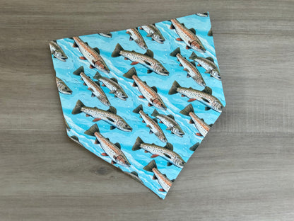 Fish Dog Bandana