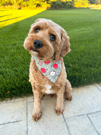 Apple Baskets Dog Bandana