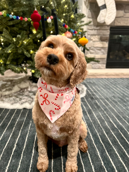 Christmas Bows Dog Bandana