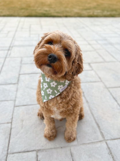 Spring Olive Floral Dog Bandana