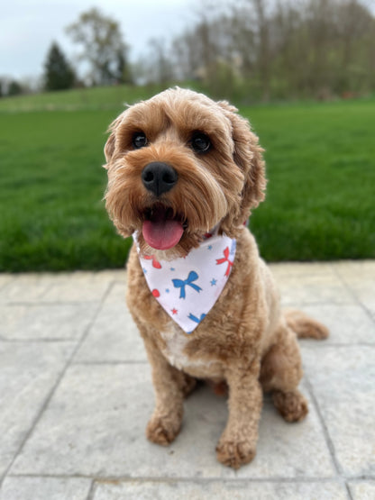 4th of July Bows Dog Bandana