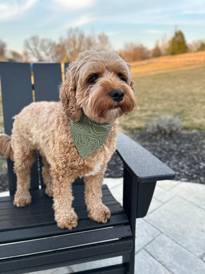 Topographic Map Dog Bandana