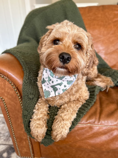 St. Patricks Day Dinosaur Dog Bandana