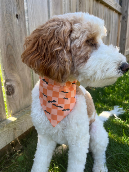 Bat Dog Bandana