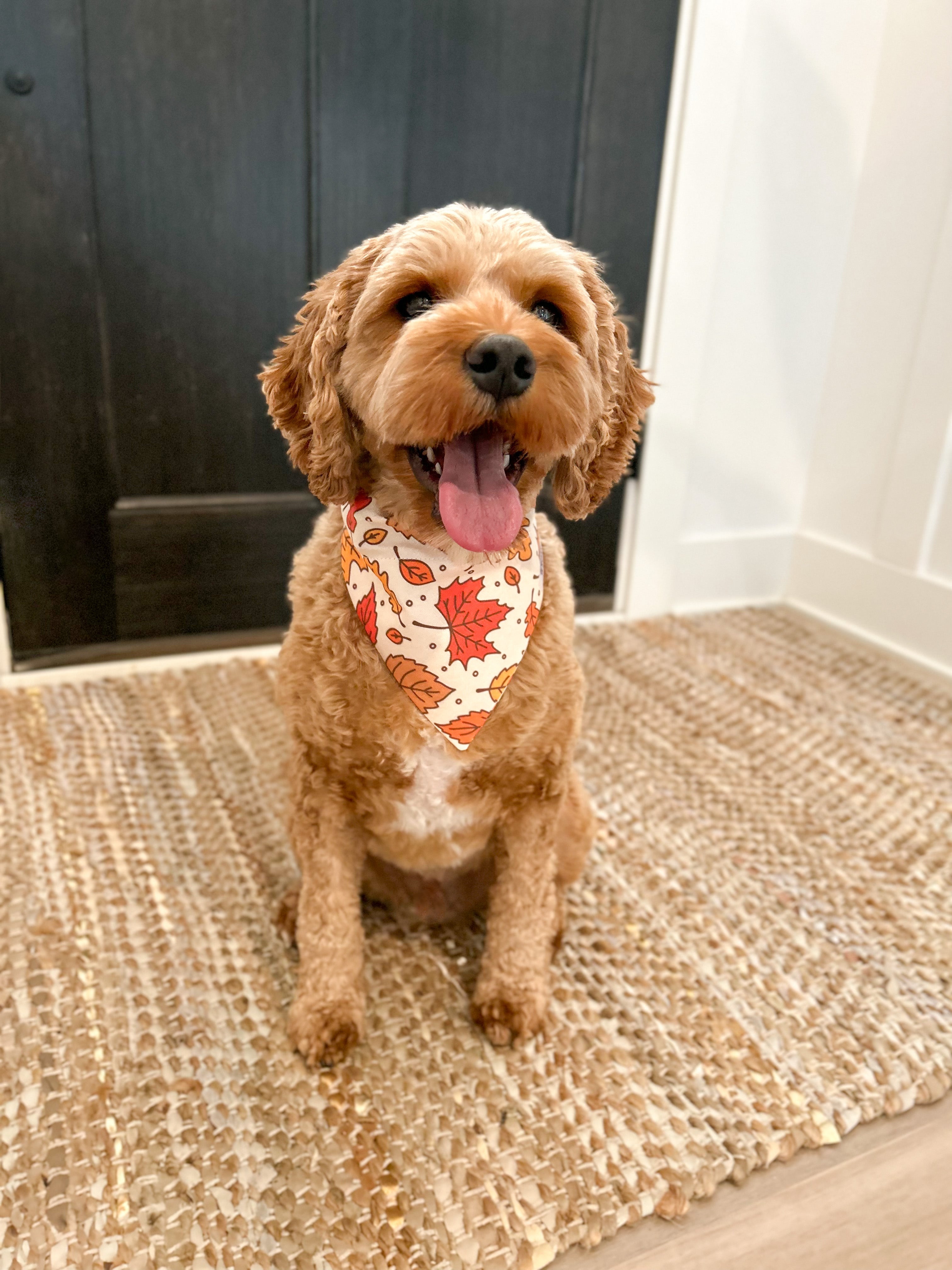 Fall Leaves Dog Bandana