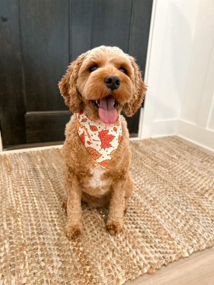 Fall Dog Bandana