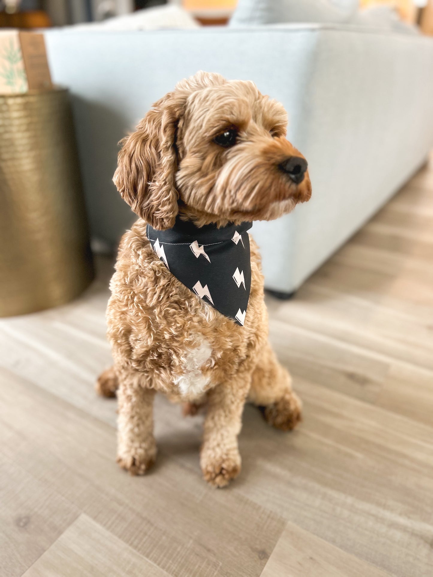 Lightning Bolt Dog Bandana