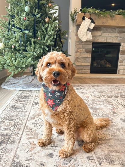 Cavapoo Wearing a Christmas Sweater Dog Bandana made by Briggs and Rory