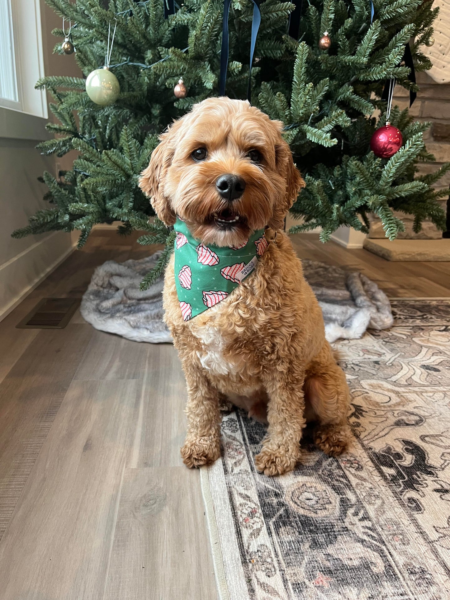 Cavapoo Wearing an Over the Collar Christmas Tree Cakes Dog Bandana Made by Briggs and Rory