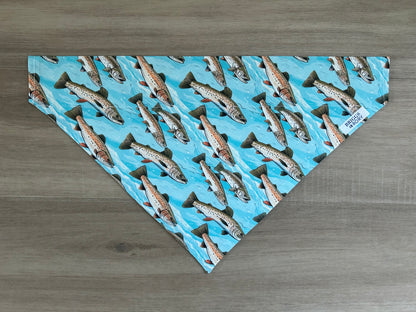 Fish Dog Bandana