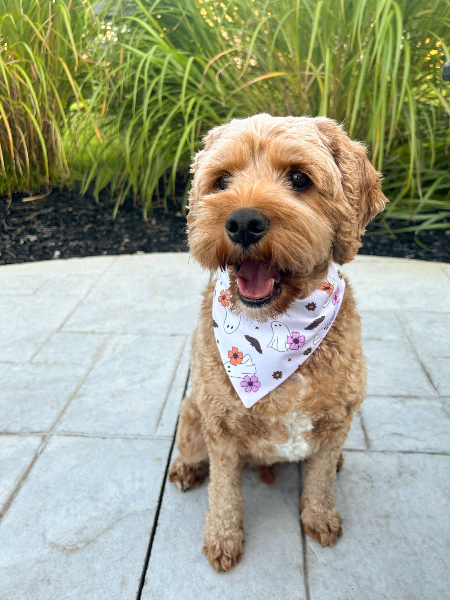 Girly Ghosts Dog Bandana