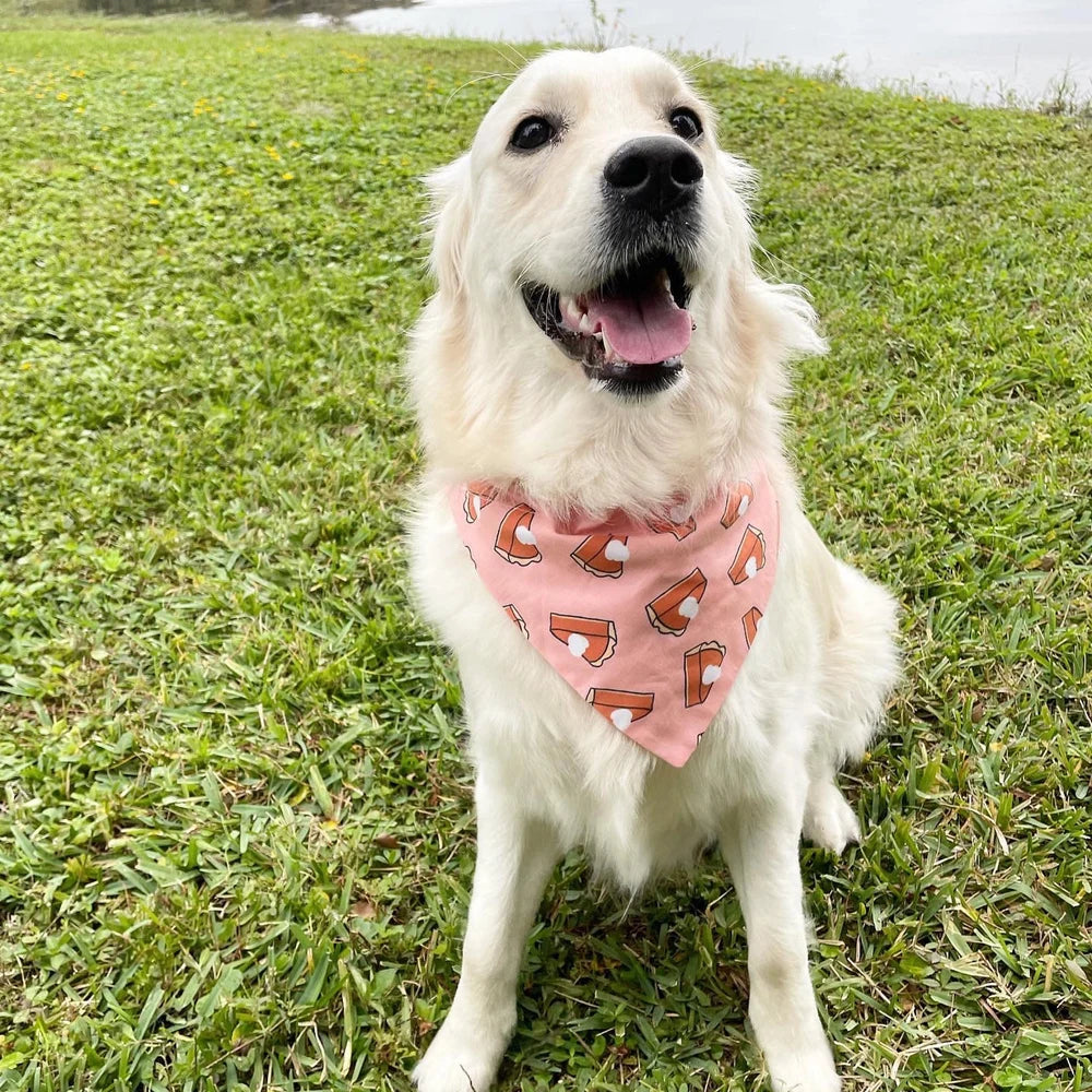 Pumpkin Pie Over the Collar Dog Bandana