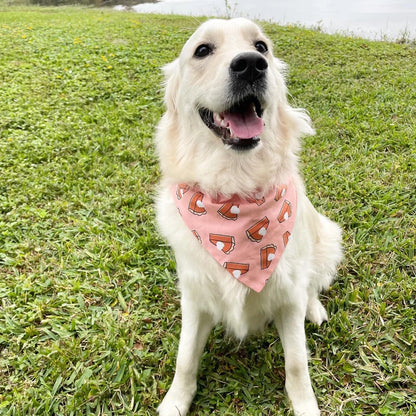 Pumpkin Pie Over the Collar Dog Bandana