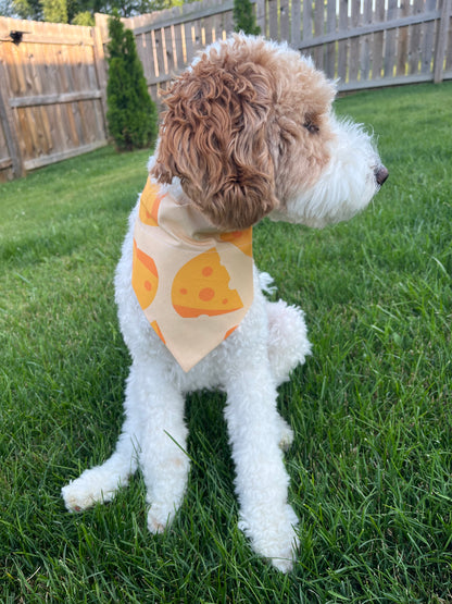 Cheese Bandana