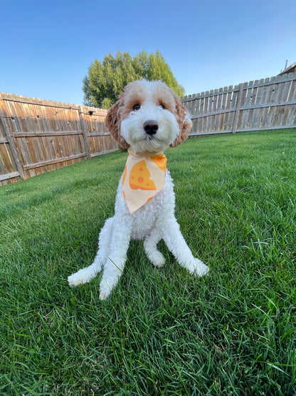 Cheese Bandana