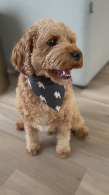 Lightning Bolt Dog Bandana