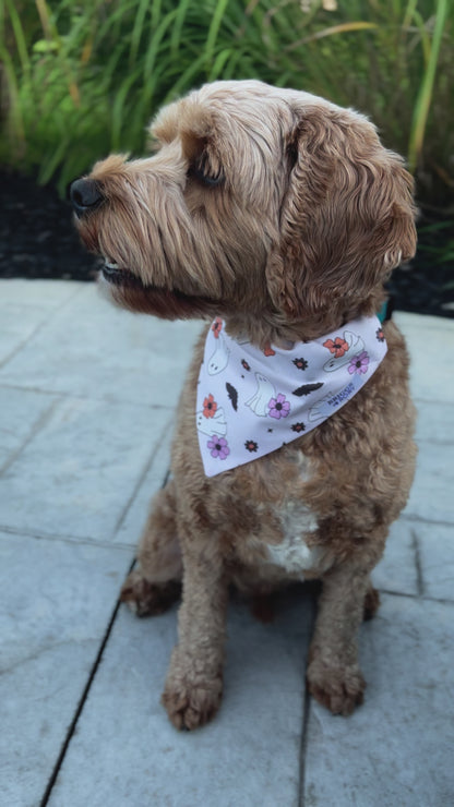 Girly Ghosts Dog Bandana