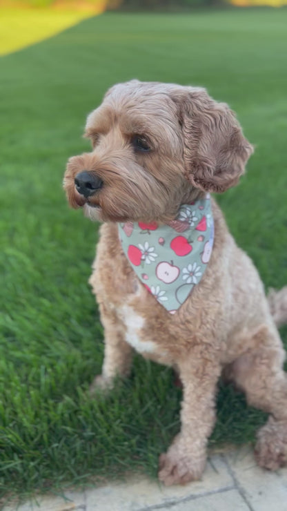 Apple Baskets Dog Bandana