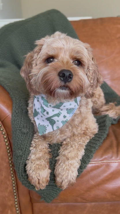 St. Patricks Day Dinosaur Dog Bandana