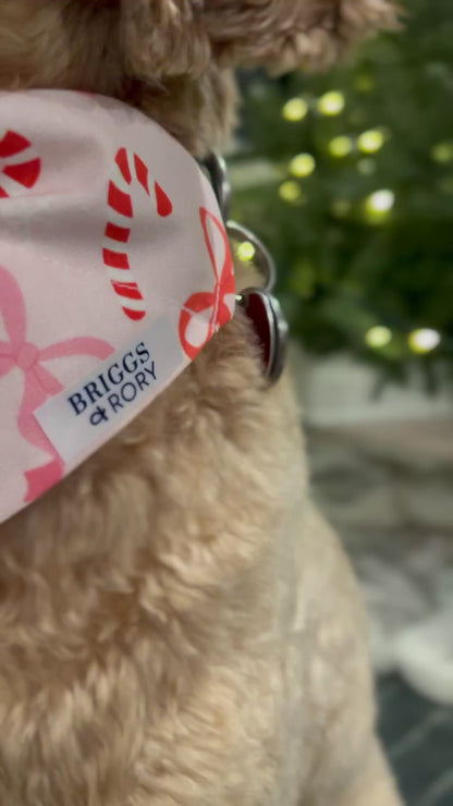 Christmas Bows Dog Bandana