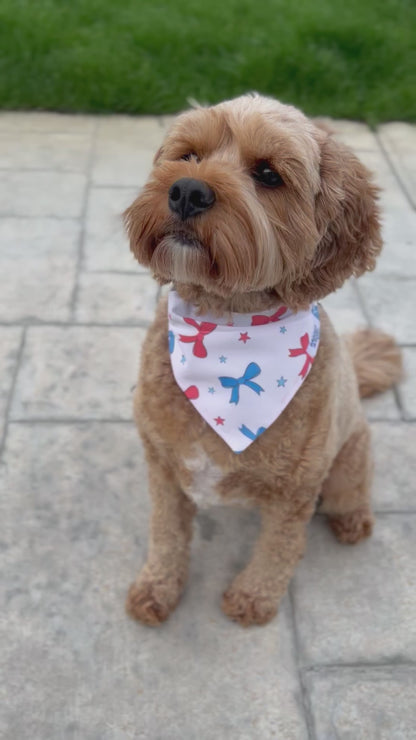 4th of July Bows Dog Bandana