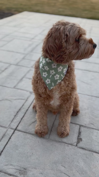 Olive Floral Dog Bandana