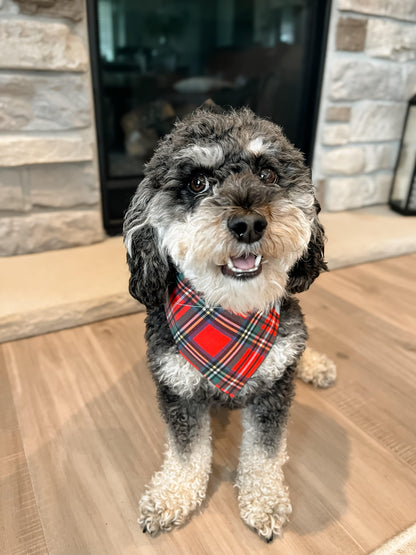 Christmas Plaid Dog Bandana