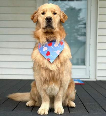 Heart Lollipop Dog Bandana