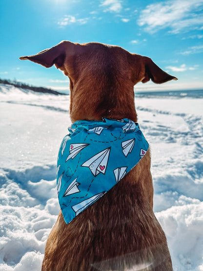 Paper Airplane Dog Bandana