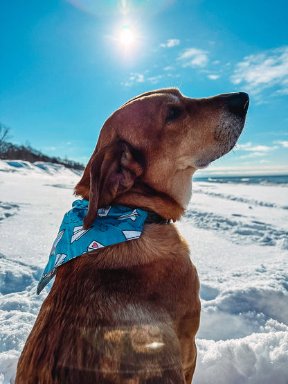 Paper Airplane Dog Bandana