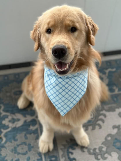 Blue Hand-drawn Squares Dog Bandana