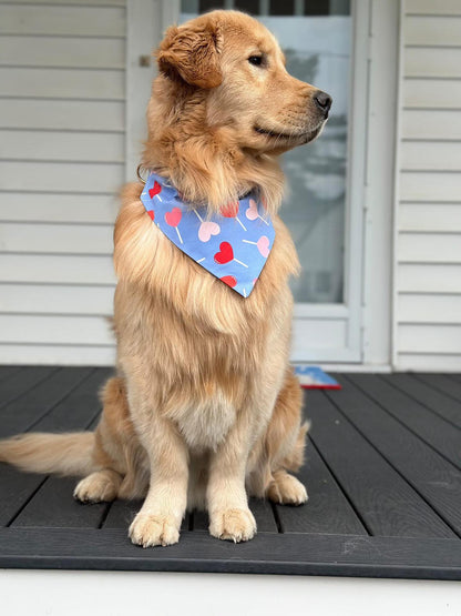 Heart Lollipop Dog Bandana