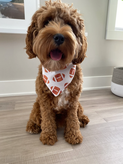 Football Over the Collar Dog Bandana