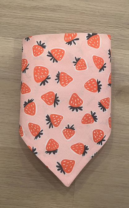 Strawberry Over the Collar Dog Bandana