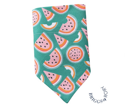 Watermelon Dog Bandana