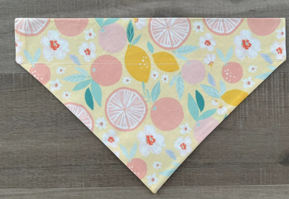 Lemons & Grapefruit Dog Bandana