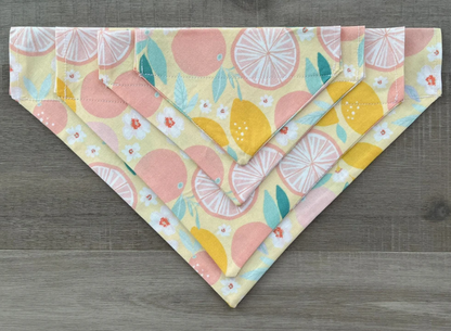 Lemons & Grapefruit Dog Bandana